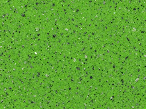 Apple Green Indian granite surface study
