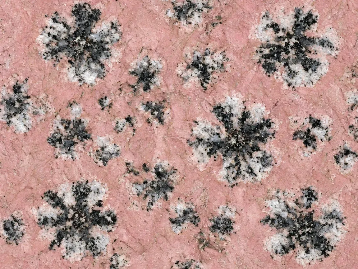 Bala Flower AI surface study, not a full slab photograph