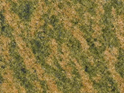 Desert Green Indian granite surface study