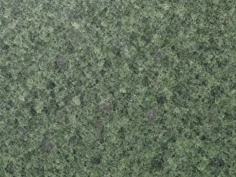 Hassan Green Indian granite surface study
