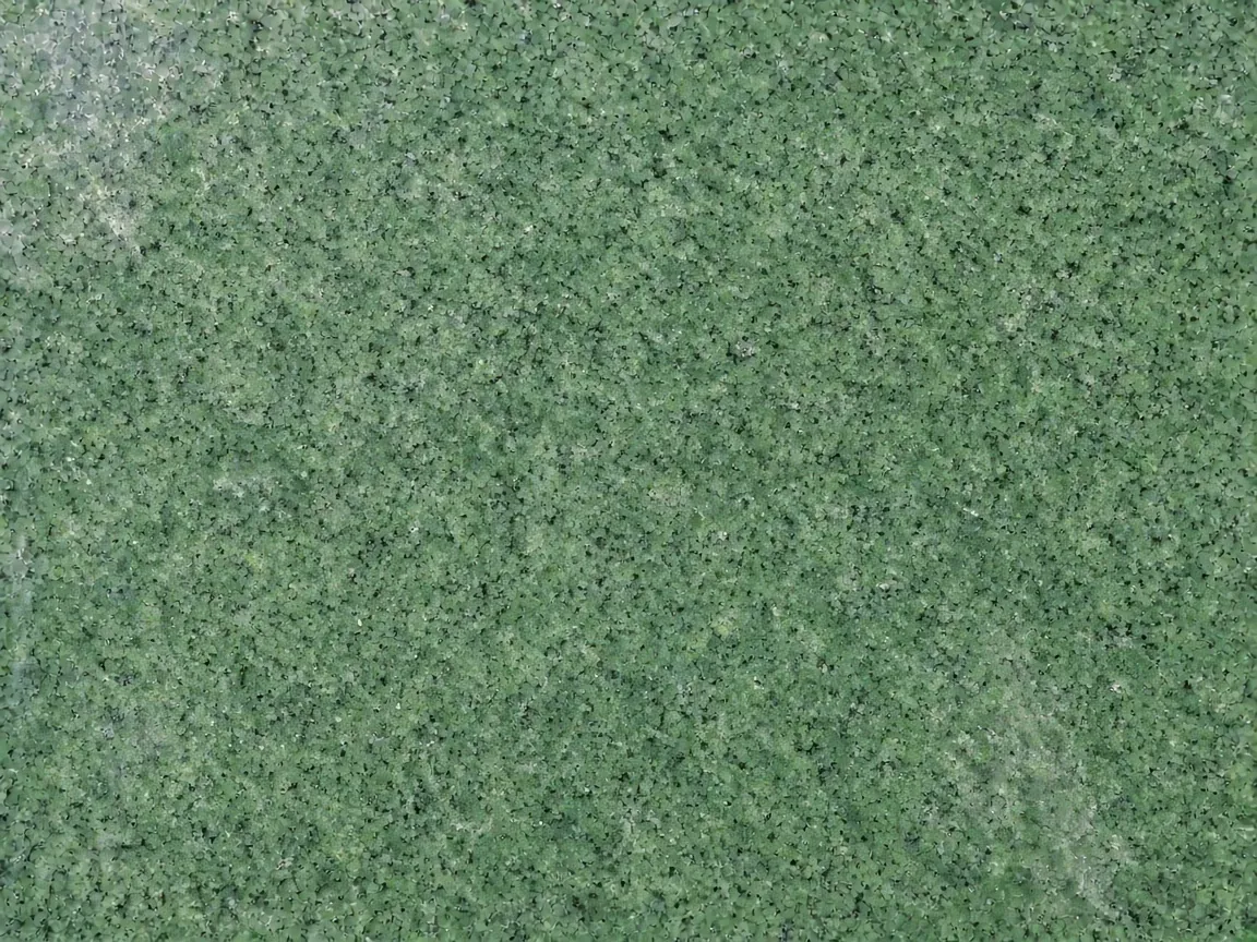 Nagina Green AI surface study, not a full slab photograph