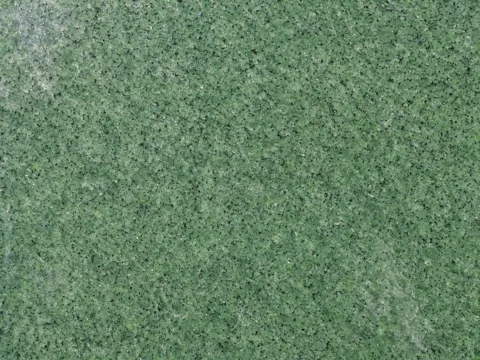 Nagina Green Indian granite surface study